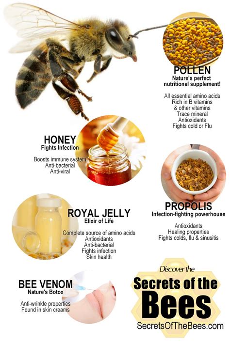 Ancient Remedies: Traditional Uses of Bee Products in Medicine